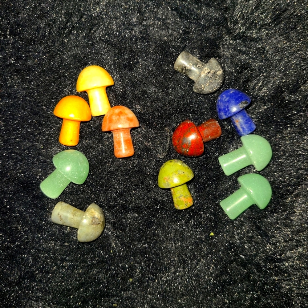 12 Piece Mushroom lot